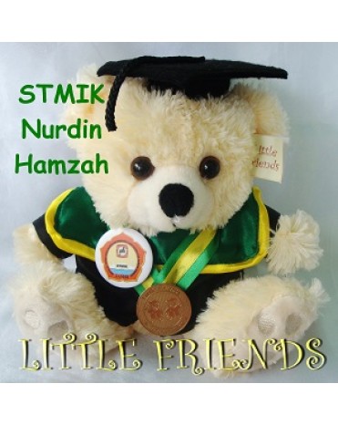Boneka Wisuda STMIK Nurdin Hamzah - Teknik Informatika (25 cm)